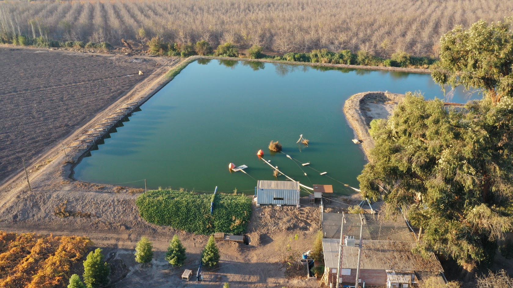 Compromiso con la Sostenibilidad