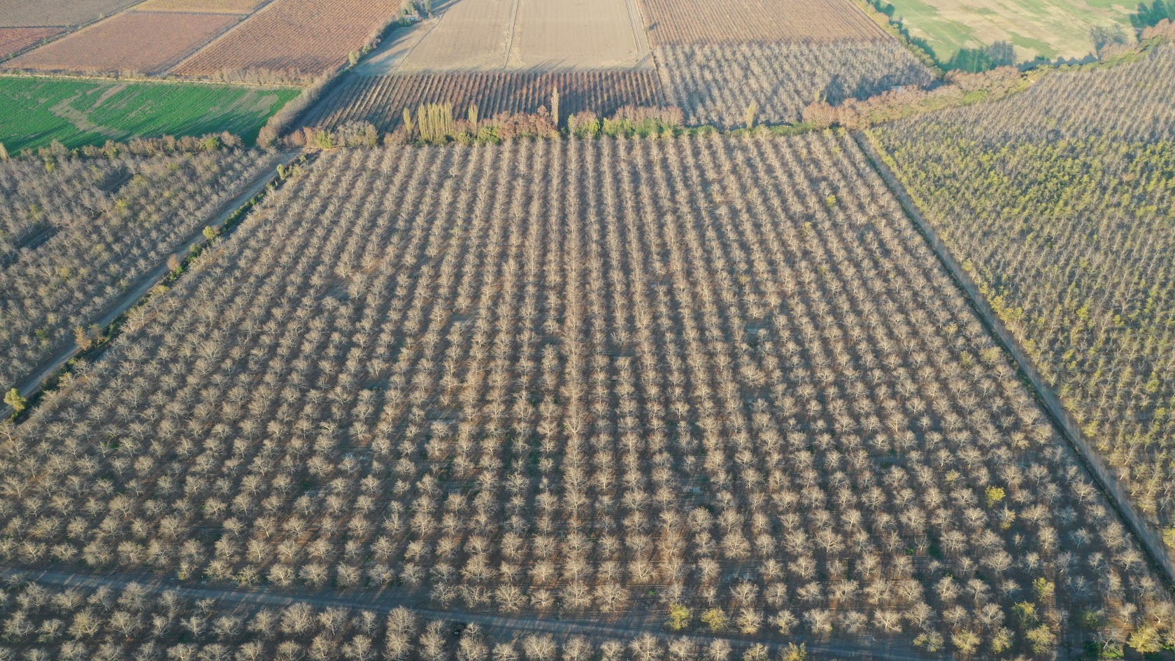 La Inmensidad de Nuestros Campos